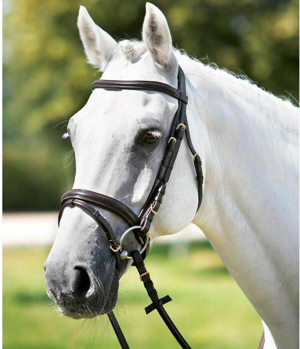 Actual product image Tattini Faceplate front mold