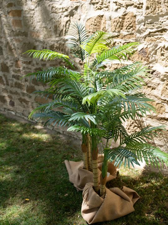 Produktbild Europalms Areca Palme (120 cm)