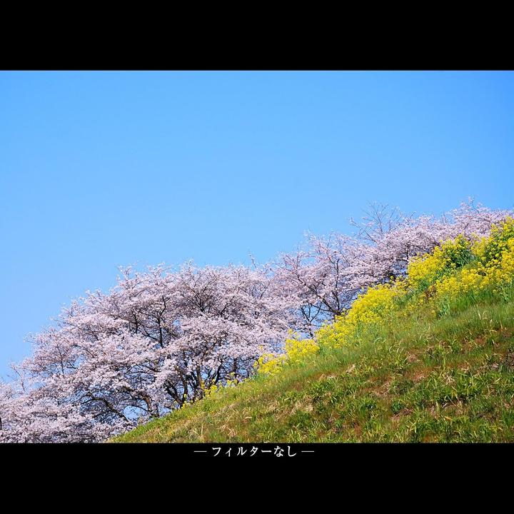 Produktbild Marumi Der Moment, der lebendiger ist. (82 mm, Polarisationsfilter)