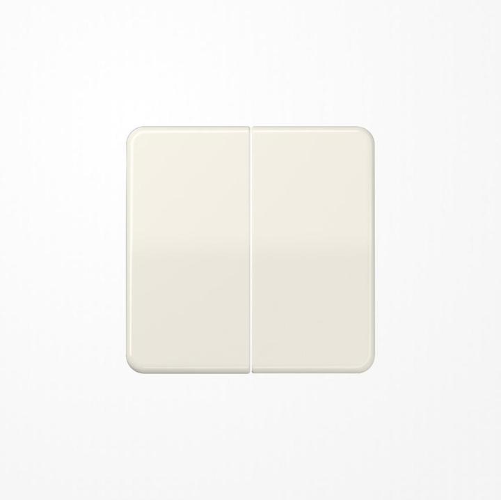 Actual product image JUNG Series rocker