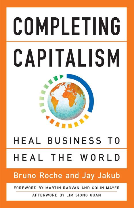 Produktbild Completing Capitalism (Englisch, Bruno Roche, Jay Jakub, 2017)