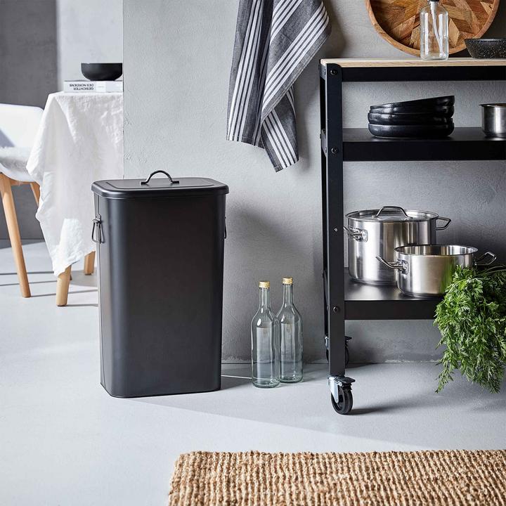 Produktbild home24 Binster (41 l)