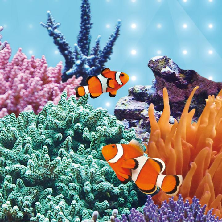 Actual product image Juwel Aquarium Blue (LED, 31 W)