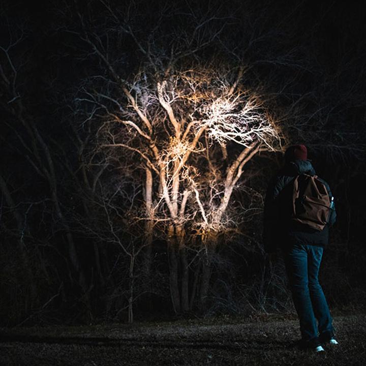 Productafbeelding Nebo NEWTON 500 LED-Taschenlampe (13.30 cm, 500 lm)