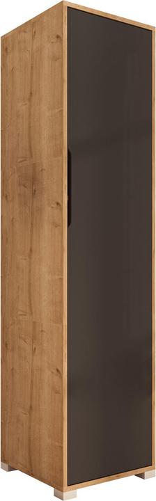Anthracite, Chêne saphir