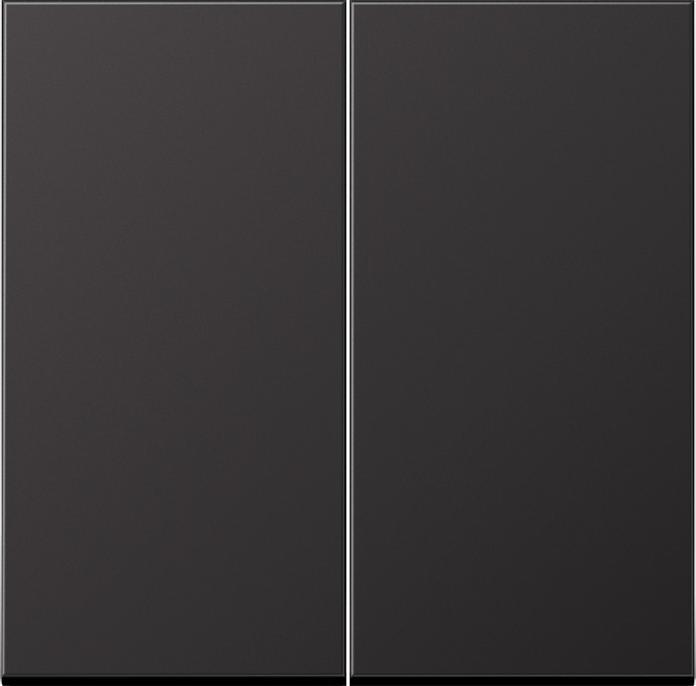 Actual product image JUNG Rocker for series switch AL2995D Aluminium dark