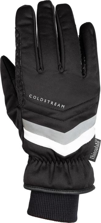 Produktbild Coldstream Gavinton Handschuhe Wasserfest (XS)
