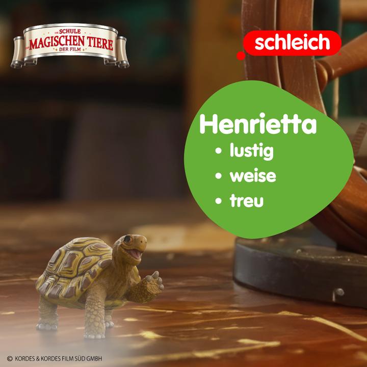 Actual product image Schleich Henrietta the tortoise