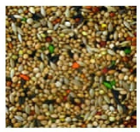 Produktbild Schweizer Vogelfutter Qualitäts-Mischung Exoten (1x, 1 kg)