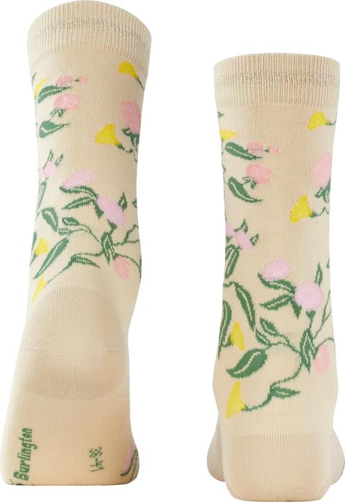 Immagine prodotto Burlington Botanical (36 - 41)