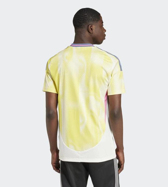 Image du produit adidas Juventus Turin Maillot Extérieur (L)