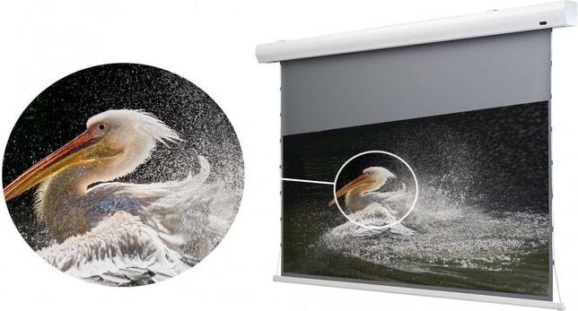 Produktbild Celexon Tension-Leinwand HomeCinema Dynamic Slate ALR 221x124cm 16:9 (100", 16:9)