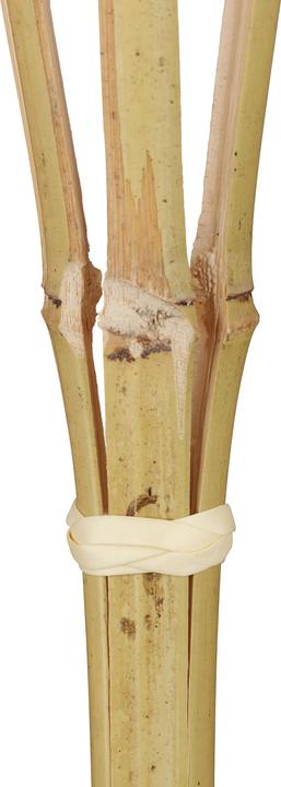 Image du produit Relaxdays 16x torches-bambou