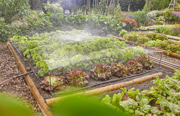 Image du produit Gardena Kit Micro-Drip Système pour potager/jardin de fleurs (Kit d'irrigation goutte à goutte)