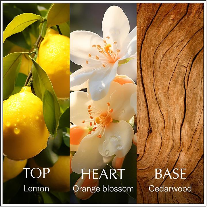 Immagine prodotto Chanson d´Eau Limone d'Eau (Eau de toilette, 100 ml)