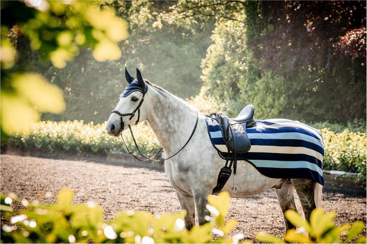 Produktbild Horseware Newmarket Exercise Sheet