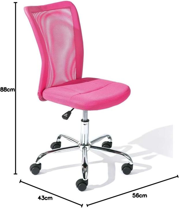 Actual product image Inter Link Bonnie