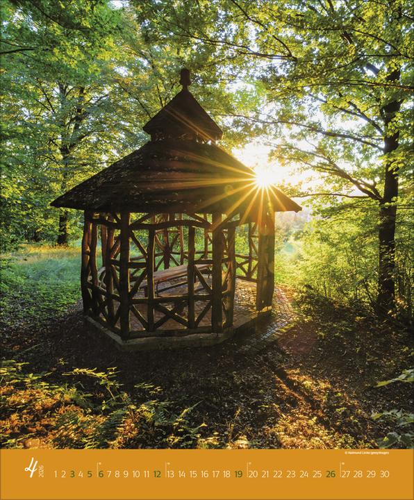 Produktbild AugenblickeimWald2026 (Spezial)