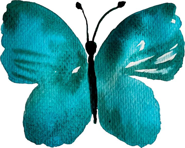 Image du produit Topp Watercolor - La merveilleuse boîte créative. Avec livre d'instructions et matériel