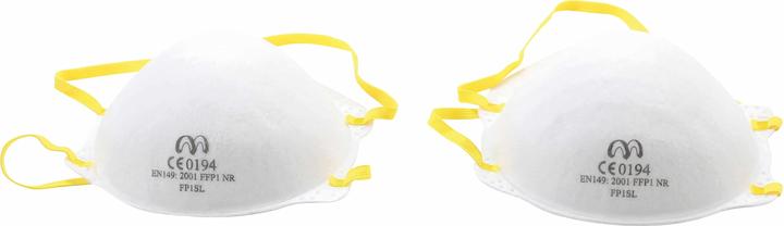 Actual product image BGS Dust Masks 2 pcs. (FFP1, 2 x)