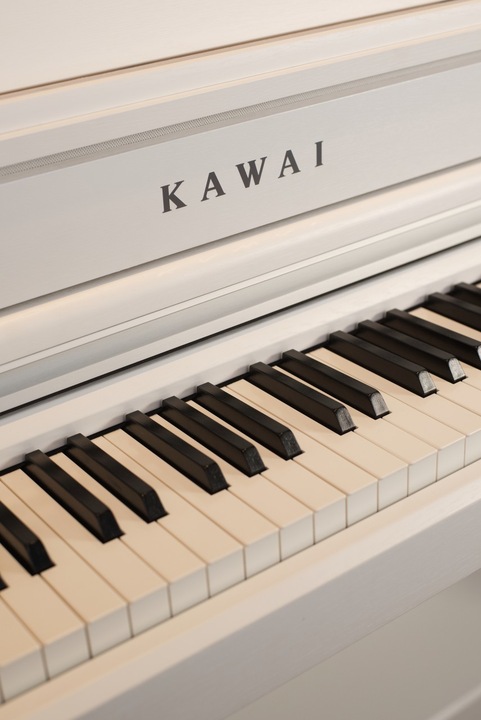 Actual product image Kawai Global CA-79 (88 Keys)