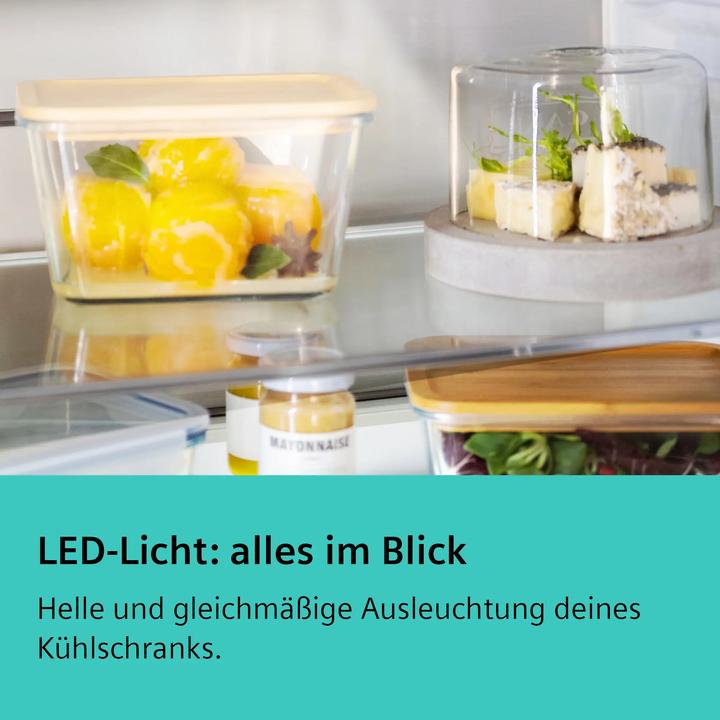 Produktbild Siemens KG49NVXCG, Freistehende Kühl-Gefrier-Kombination mit Gefrierbereich unten (440 l)