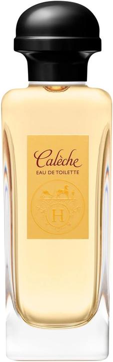 Immagine prodotto Hermès Eau de Toilette (re) (Eau de toilette, 100 ml)