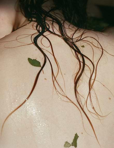 Produktbild Madara Wild Woods Moisture Wash (500 ml)