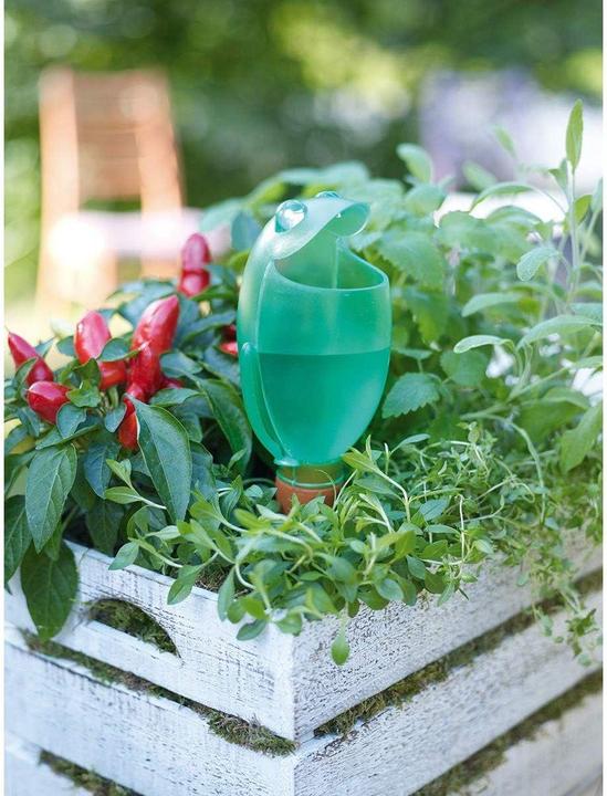 Immagine prodotto Scheurich Distributore d'acqua Froggy M | 2X Verde | Capacità di riempimento 140 ml | Palla per annaffiare (Palline per l'irrigazione)