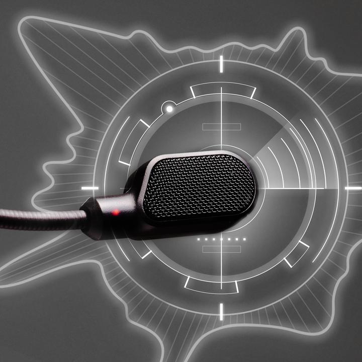 Actual product image HyperX Cloud III Wired (Cable)