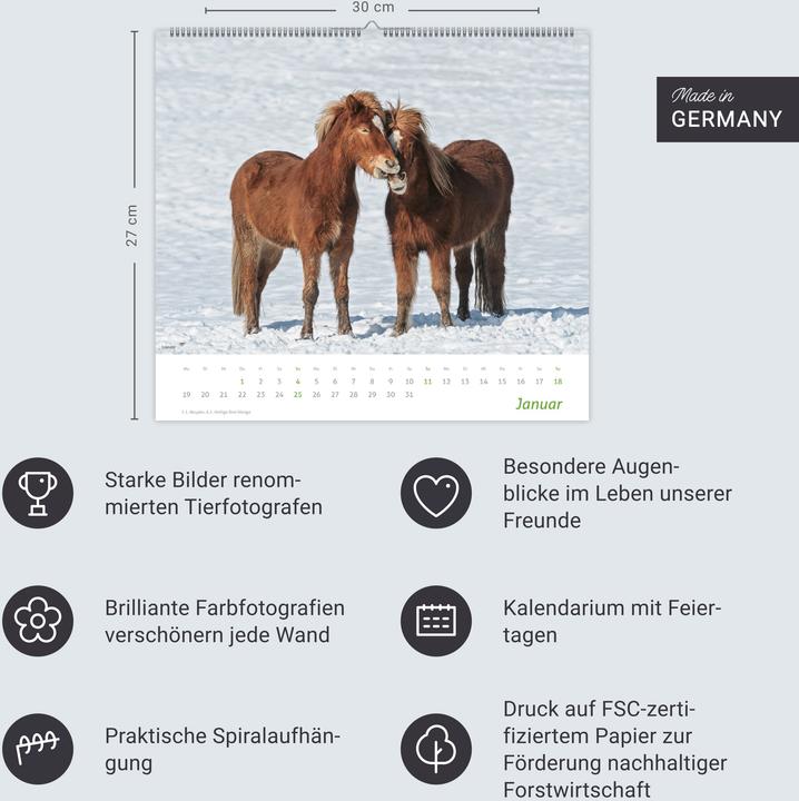 Produktbild times&more Pferde Bildkalender 2026