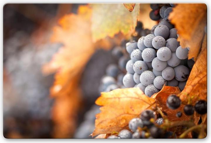 Produktbild Trenddeko Wein im Herbst (60 x 40 cm)