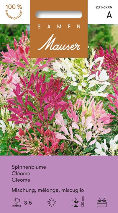 Image du produit Samen Mauser Fleur d'araignée mélange (Graines de fleurs)