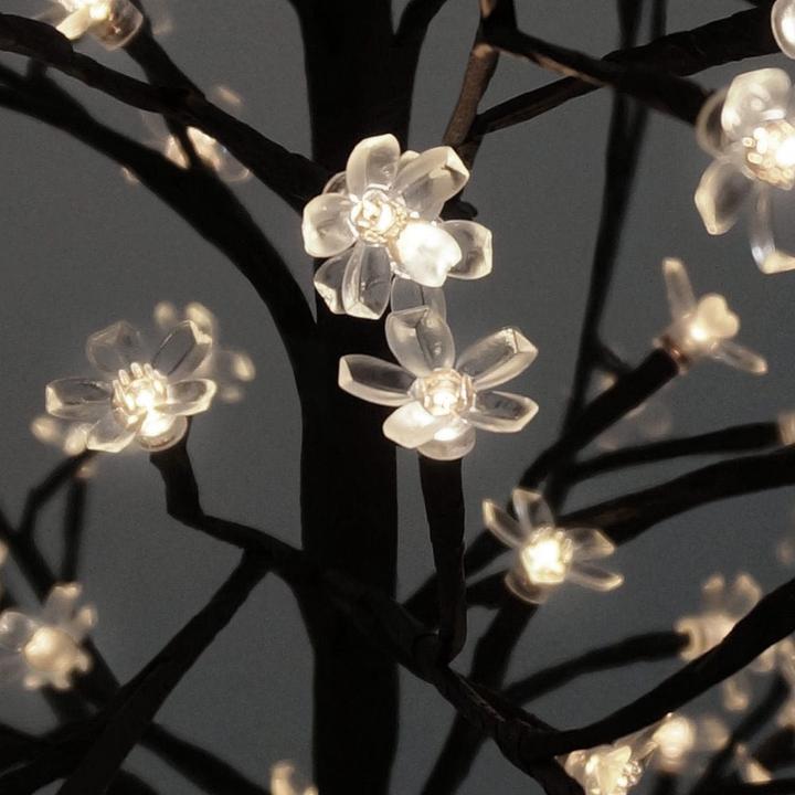 Image du produit Monzana Cerisier en fleurs