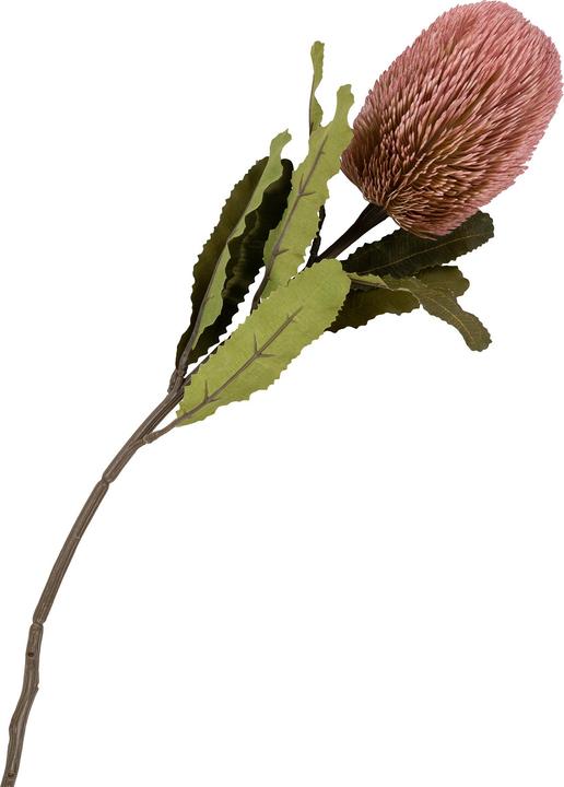 Actual product image House Nordic King (75 cm)