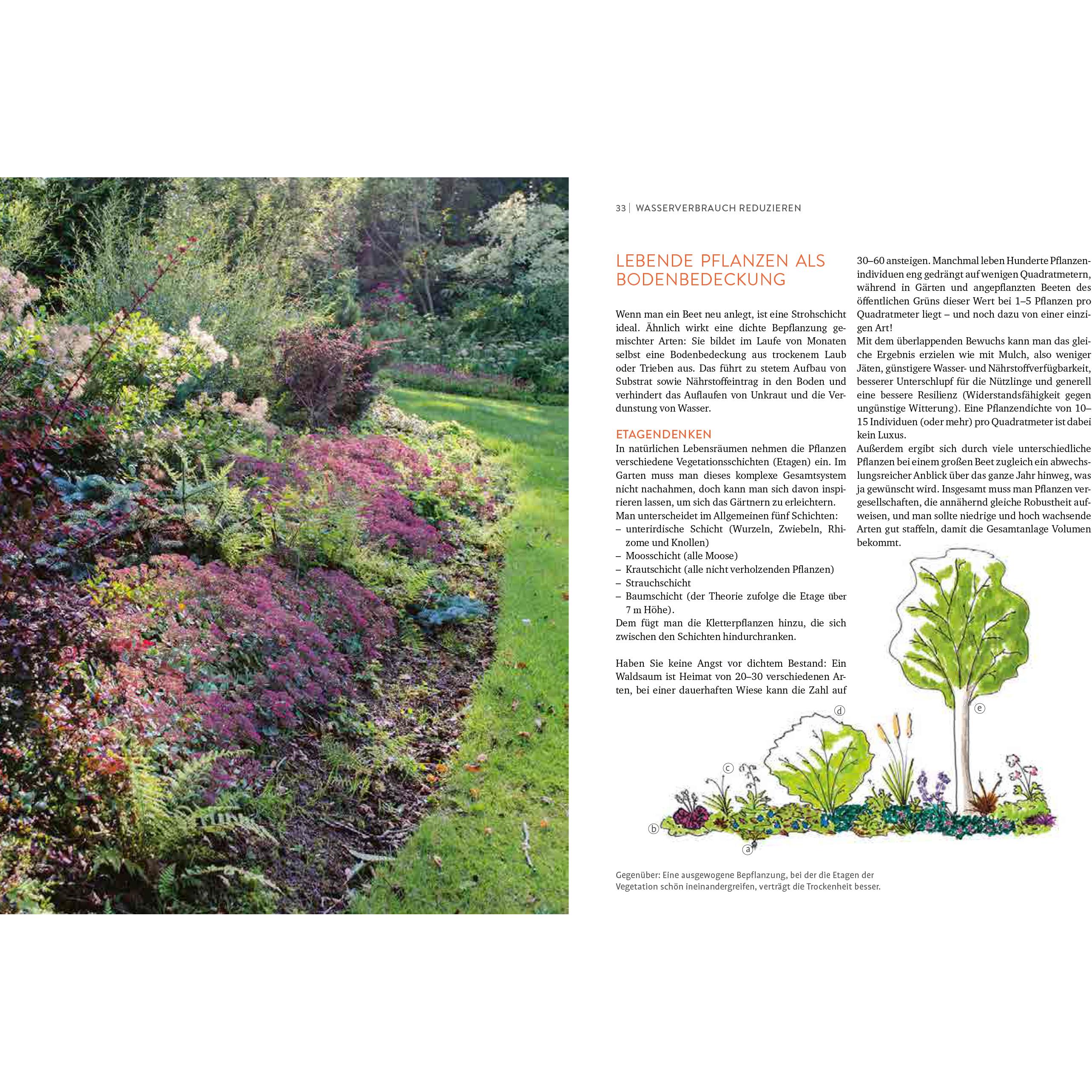 Thumbnail - Wächst fast ohne Wasser, Ratgeber von Aurélien Davroux