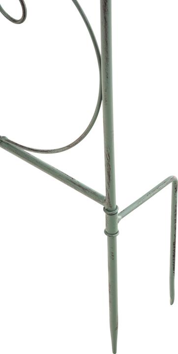 Immagine prodotto CLP Mandevilla (1 cm, 99 cm)