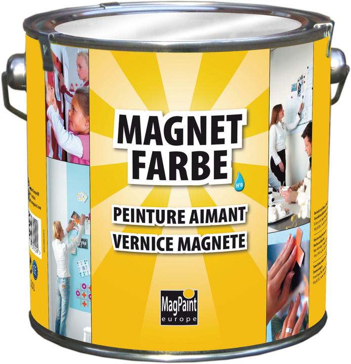 Immagine prodotto Magpaint Colore magnetico (Grigio, 2.50 l)