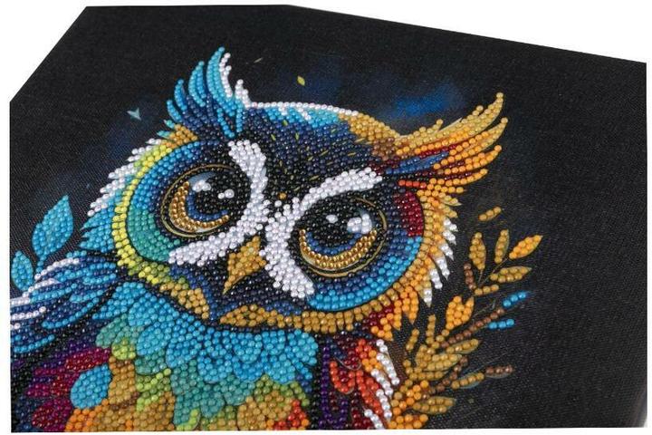 Produktbild Craft Buddy Eule, 30x30cm Crystal Art Kit