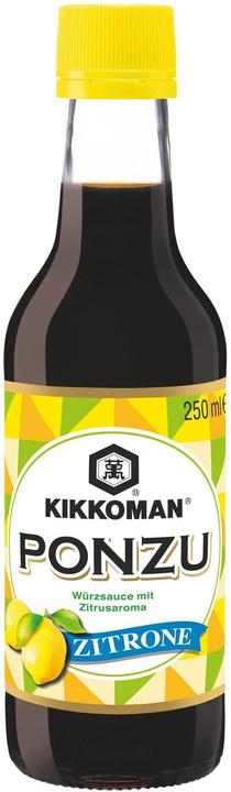 Actual product image Kikkoman Ponzu (485 g)