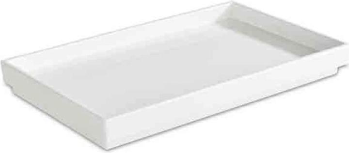Actual product image APS ASIA PLUS" tray