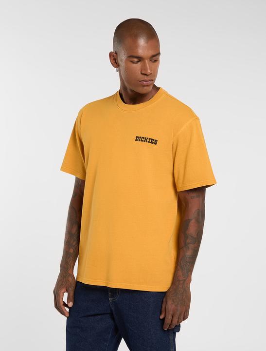 Produktbild Dickies Darrtown Ss Tee (S)