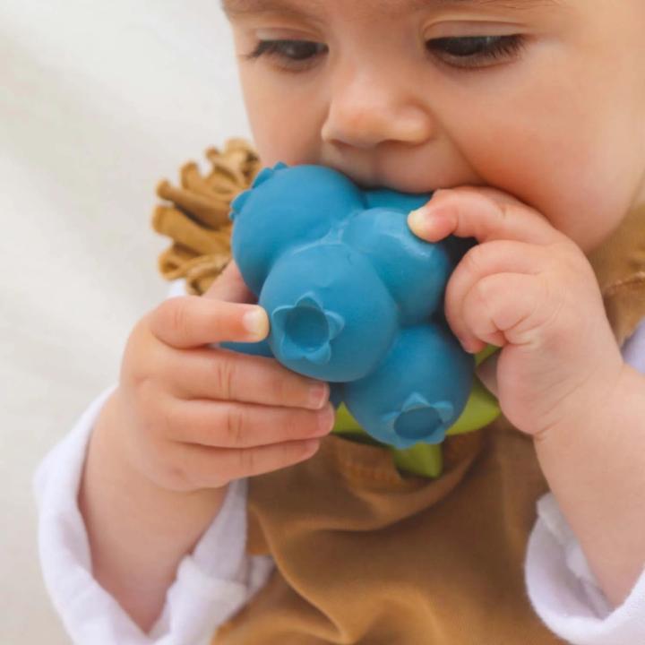 Actual product image Oli and Carol Oli & Carol - Teether - Jerry the Blueberry - (OC1253) (0 Months)