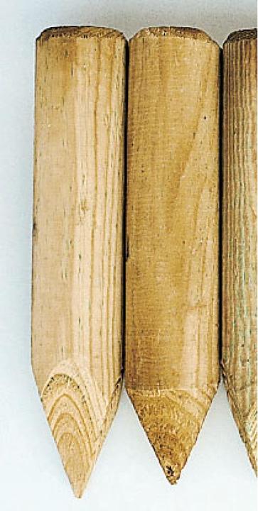 Actual product image Neogard Palisade