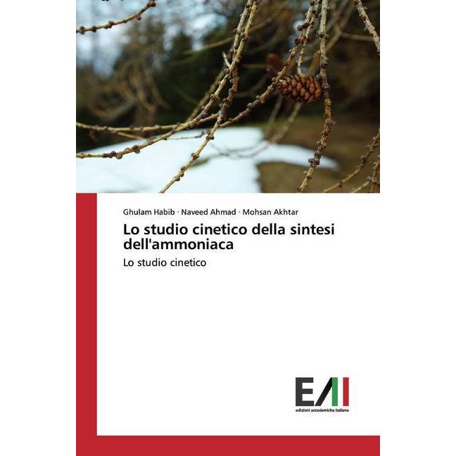 Lo studio cinetico della sintesi dell/'ammoniaca, Fachbücher von Naveed Akhtar, Mohsan, Ghulam Ahmad