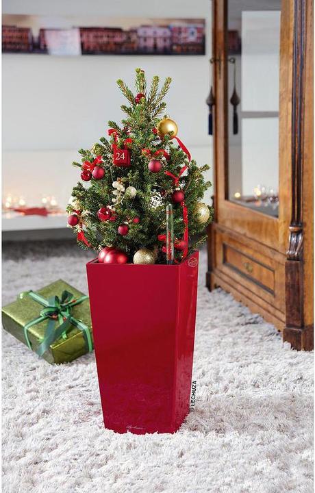 Immagine prodotto Lechuza Fioriera Maxi cubi Rosso (14 cm)