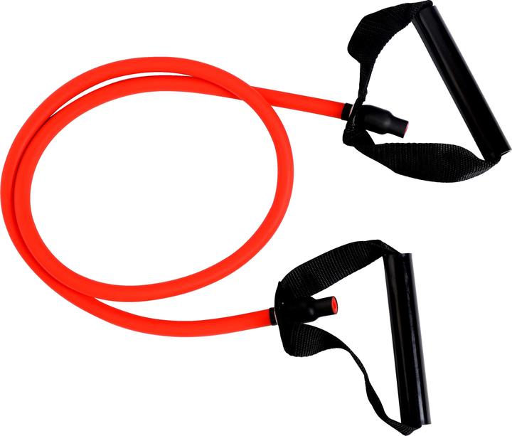 Rot