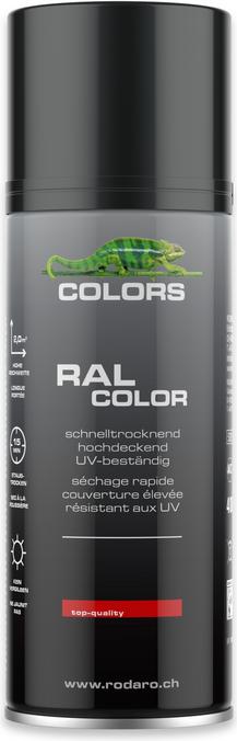 Colors Spray can (Black, 0.40 l)
