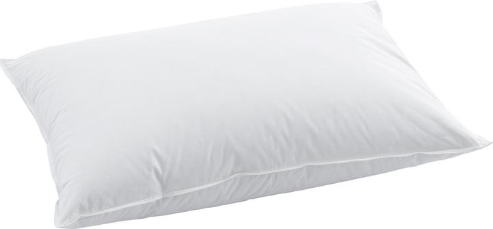 Actual product image Swiss Dream by billerbeck Soft Pillow Basic 90 (50 x 90 cm)
