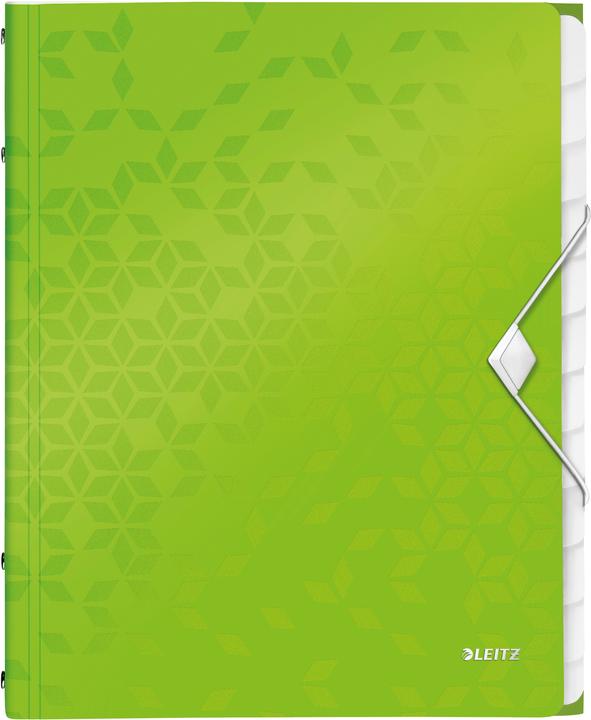 Actual product image Leitz Folder WOW PP A4 46340054 green 12 pieces (A4, 1x)